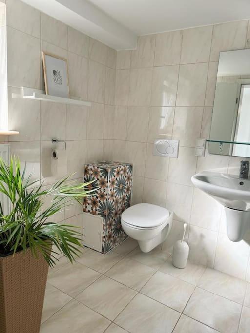 Business Apartment Naehe Bonn Кёнигсвинтер Экстерьер фото