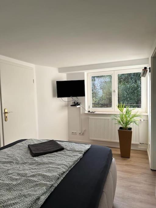 Business Apartment Naehe Bonn Кёнигсвинтер Экстерьер фото
